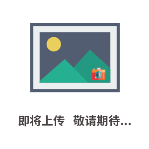 諾氟沙星膠囊 